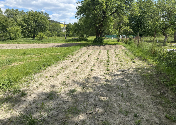 NA PREDAJ 4-izbový rodinný dom - chalupa v Lubine na pozemku (489 m2) + orná pôda a záhrada (2359 m2)